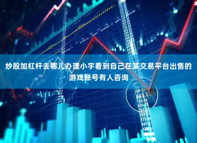 炒股加杠杆去哪儿办理小宇看到自己在某交易平台出售的游戏账号有人咨询